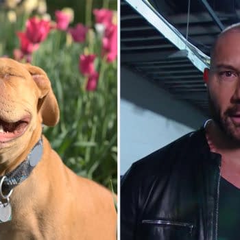Dave Bautista has lots of love for pit bulls.