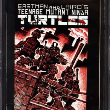 TMNT #1 First Print Over $35,000 On Auction At ComicConnect