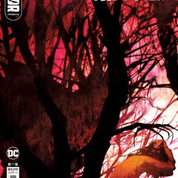 Cover image for DC HORROR PRESENTS THE CONJURING THE LOVER #5 (OF 5) CVR A BILL SIENKIEWICZ (MR)
