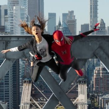 Spider-Man: No Way Home Director Calls It "Spider-Man: Endgame"