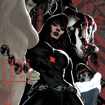 Cover image for BLACK WIDOW #12