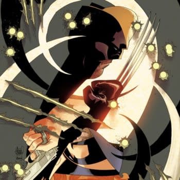 Cover image for WOLVERINE #17