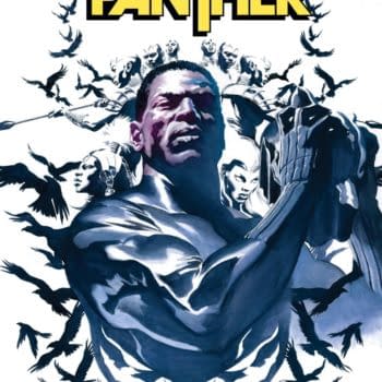 Cover image for Black Panther #2