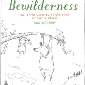 Into the Bewilderness