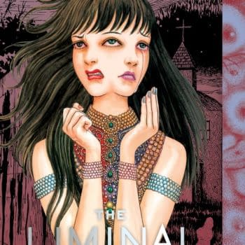 Cover image for LIMINAL ZONE HC (MR)