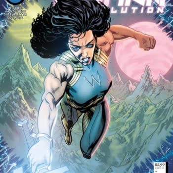 Cover image for Wonder Woman: Evolution #8