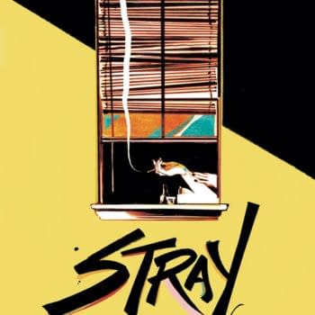 Stray Review: You'll Want To Follow This One