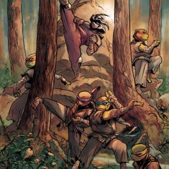 Cover image for Teenage Mutant Ninja Turtles #131