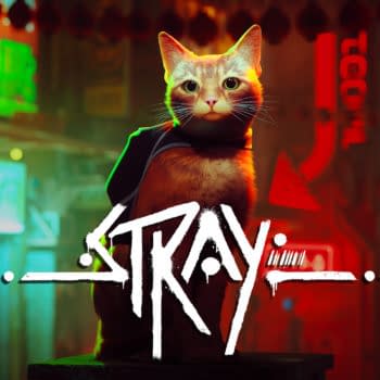 Annapurna Interactive To Host Stray Pop-Up Cat Café In NYC