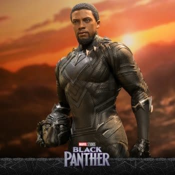 Hot Toys Celebrates the Legacy of Black Panther with New 1/6 Figure 