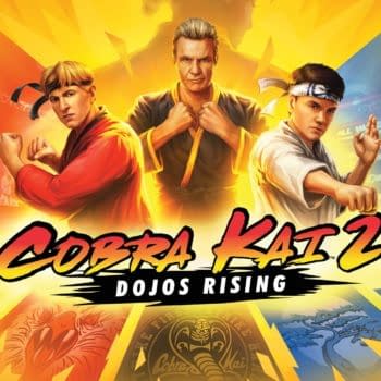 Cobra Kai 2: Dojos Rising Set To Launch Sometime This Fall