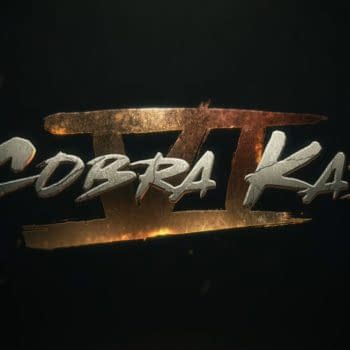 Cobra Kai Ending with Season 6; Show Creators Pen Letter To Fans