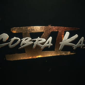 Cobra Kai: Hurwitz Ready to Get Back Into the Dojo After WGA Deal