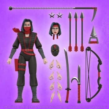 TMNT Ultimates Wave 10 Adds Karai, Moves Rat King To Wave 11