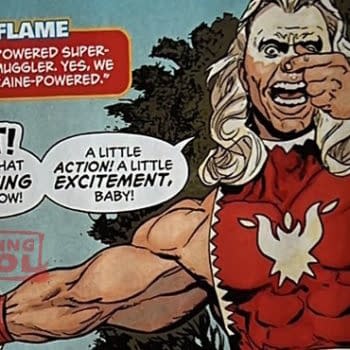 If Marvel Won't, DC Comics Will Introduce A Superhero Called Snowflake