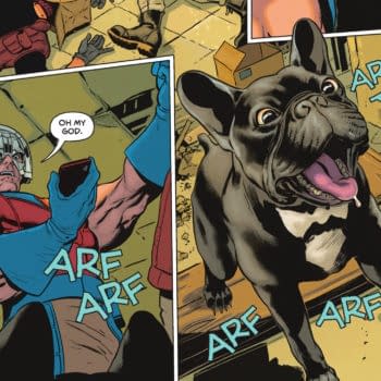 Peacemaker Now Has A Dog Called Bruce Wayne
