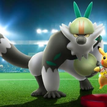 Passimian Raid Guide for Pokémon GO Players: 2023 Championships