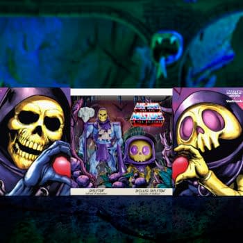 Mattel Reveals Masters of the Universe Skeletor x VeeFriends 2-Pack