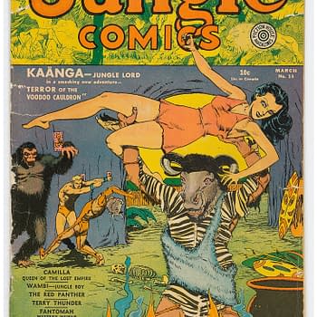 Ann Mason Beat Out Kaänga to the Cover of Jungle Comics 15 at Auction