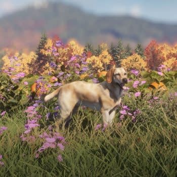 TheHunter: Call Of The Wild Reveals Labrador Retriever DLC