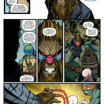 Teenage Mutant Ninja Turtles #149 Preview: Donnies Dismal Discovery