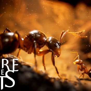 Empire Of The Ants Lays Out 2025 Content Roadmap