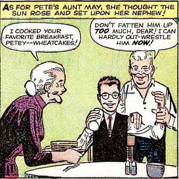 Steve Ditko Didnt Draw Aunt May Giving Peter Parker Wheatcakes