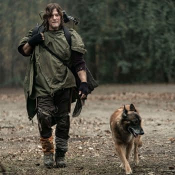 AMC Expands Streaming: Horror Focus; TWD Series "The Walking Dogs"