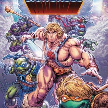 Cover image for MASTERS OF UNIVERSE TMNT TURTLES OF GRAYSKULL #1 CVR A WILLI
