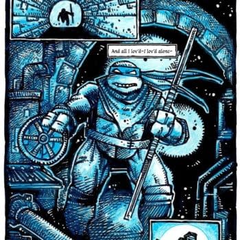 Interior preview page from TMNT 40TH ANNIVERSARY COMICS CELEBRATION #1 KEVIN EASTMAN COVER