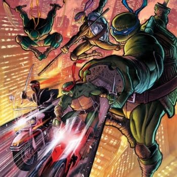 Juan Ferreyra's Teenage Mutant Ninja Turtles- IDW January 2025 Solicits