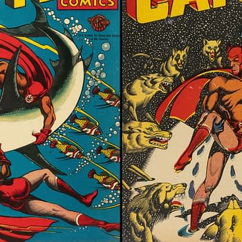 Cat-Man Comics (Continental, 1945-1946). A colorful comic book cover featuring Cat-Man, a superhero in a red costume, fighting a shark underwater on the left side, and on the right, Cat-Man is depicted in a dramatic scene surrounded by wolves under a starry sky. Both illustrations showcase vintage comic art styles with dynamic colors and action scenes.
