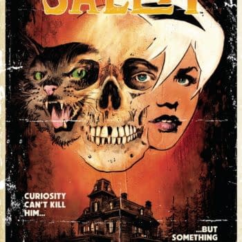 Cover image for NINE LIVES OF SALEM ONESHOT CVR B ROBERT HACK (RES)