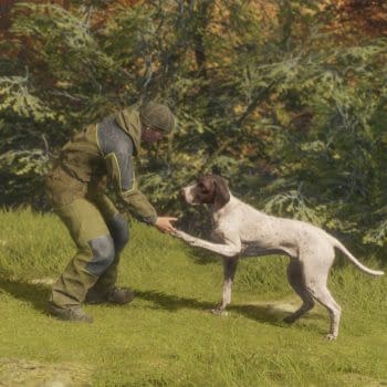 TheHunter: Call of the Wild Announces Three New DLCs