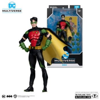 The DC Comics Multiverse 2024 Highlights: The Extended Bat-Family