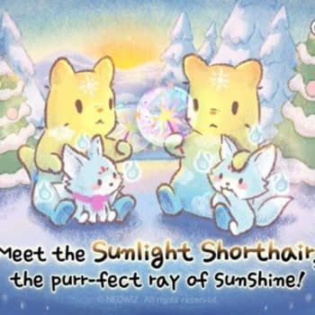 Cats &#038; Soup Releases Brand-New Sunlight Shorthair