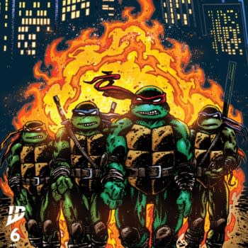 Cover image for Teenage Mutant Ninja Turtles #6 Variant B (Eastman)