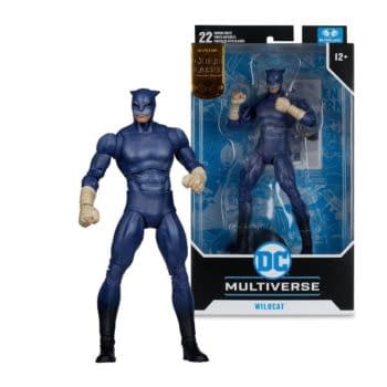 DC Comics Justice League of America Wildcat Joins the DC Multiverse 