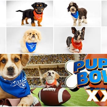 Puppy Bowl XXI Preview: Because We Could All Use Some Puppy Pics Today