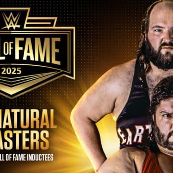 A graphic featuring the WWE Hall of Fame 2025 logo, with the words 'THE NATURAL DISASTERS' prominently displayed. Two wrestlers, one on top of the other, appear in the image, showcasing their muscular builds and expressions.