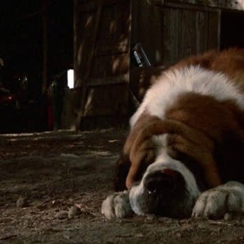 Cujo Remake Being Conjured Up At Netflix