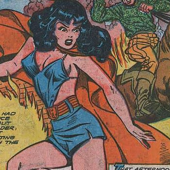 Pioneer Publications and its Odd Phantom Lady Comic Up for Auction