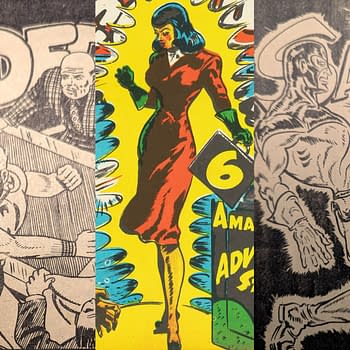 Nelvana Speed Savage &#038 Captain Wonder Triumph Comics #21 at Auction