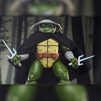 NECA Reveals New TMNT Mirage Comics Old Man Raphael Figure