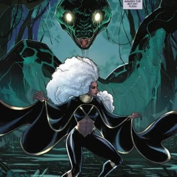 Interior preview page from STORM #7 MATEUS MANHANINI COVER