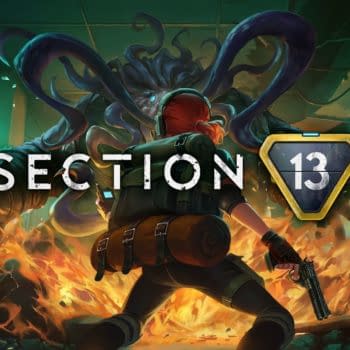 Section 13