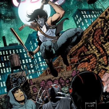 TOLDJA: Casey Jones TMNT Spinoff From IDW