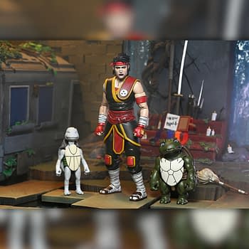 NECA Debuts New TMNT The Last Ronin Lost Years Casey Marie 