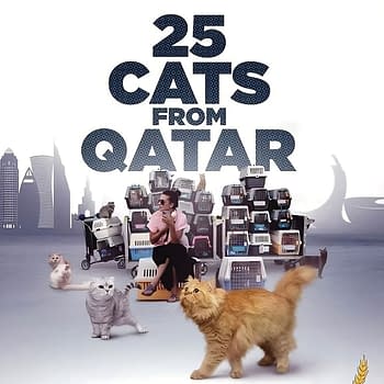 25 Cats From Quatar: Whole Grain Pictures Brings Lost