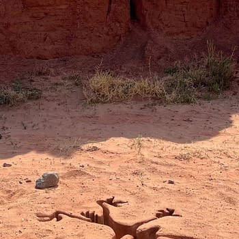 A cracked, reddish desert ground with sparse vegetation and a small rock, featuring text that reads 'IN THEATERS 8.28.26.' This visual is associated with the upcoming release of 'Coyote vs. Acme'.